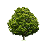 باغبانی